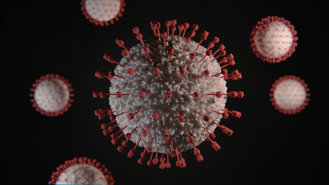 virus, coronavirus, covid19, coronavirus, coronavirus, coronavirus, coronavirus, coronavirus