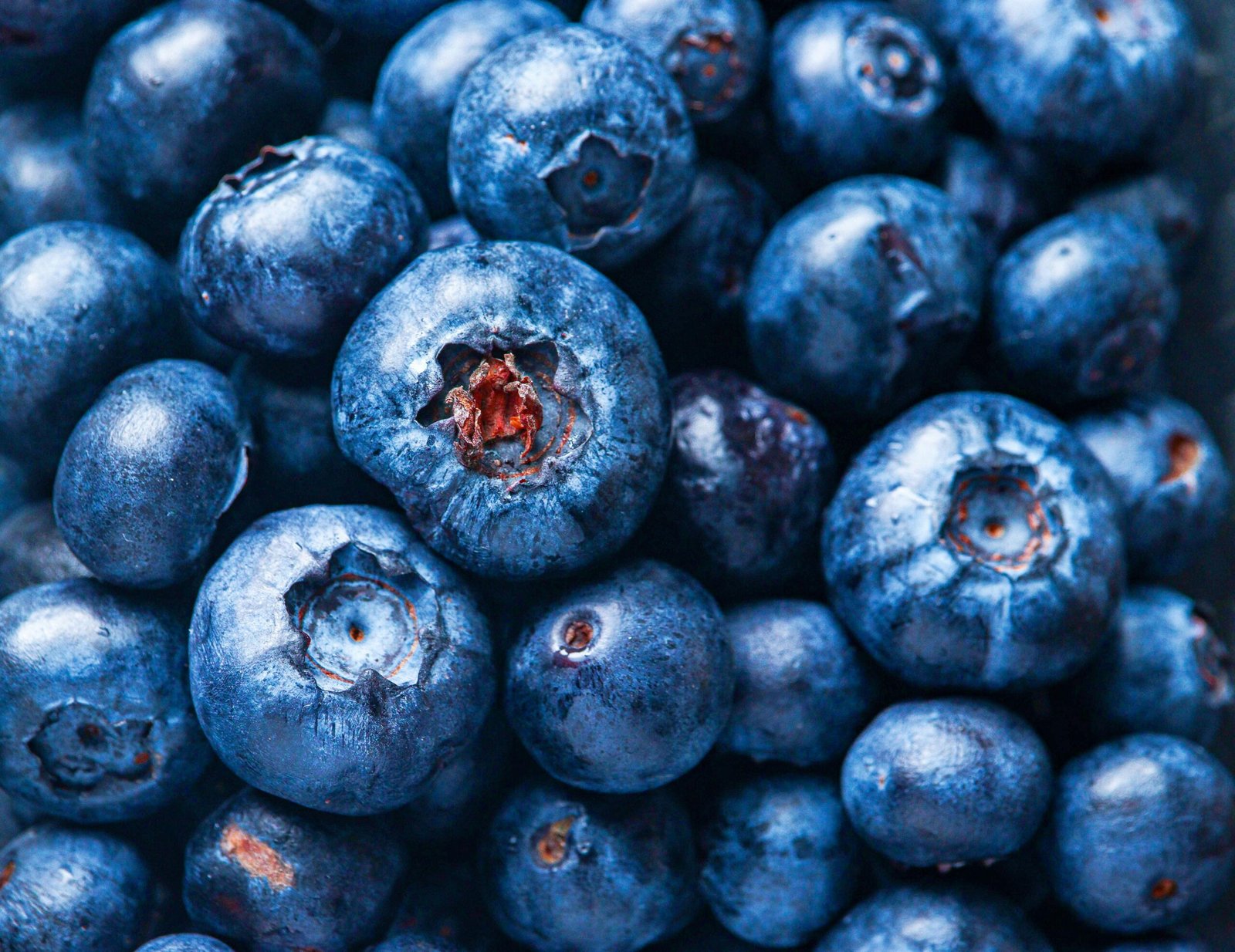A vibrant close-up of fresh blueberries, showcasing their natural color and texture.